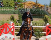 SASSARA WERNER CampITA2013- S5 9785 : Campionati Italiani 2013, Cattolica, Horse Riviera Resort, SASSARA MARCO, WERNER, foto di Stefano Secchi ©