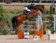 SASSARA WERNER CampITA2013- S5 9795 : Campionati Italiani 2013, Cattolica, Horse Riviera Resort, SASSARA MARCO, WERNER, foto di Stefano Secchi ©