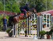 SBARDELLA TRIOMPHE CampITA2013- S5 9708 : Campionati Italiani 2013, Cattolica, Horse Riviera Resort, SBARDELLA DAVID, TRIOMPHE VAN SCHUTTERSHOF, foto di Stefano Secchi ©