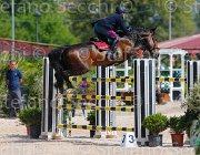 SBARDELLA TRIOMPHE CampITA2013- S5 9709 : Campionati Italiani 2013, Cattolica, Horse Riviera Resort, SBARDELLA DAVID, TRIOMPHE VAN SCHUTTERSHOF, foto di Stefano Secchi ©