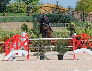 SBARDELLA TRIOMPHE CampITA2013- S5 9710 : Campionati Italiani 2013, Cattolica, Horse Riviera Resort, SBARDELLA DAVID, TRIOMPHE VAN SCHUTTERSHOF, foto di Stefano Secchi ©