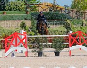 SBARDELLA TRIOMPHE CampITA2013- S5 9711 : Campionati Italiani 2013, Cattolica, Horse Riviera Resort, SBARDELLA DAVID, TRIOMPHE VAN SCHUTTERSHOF, foto di Stefano Secchi ©