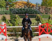 SBARDELLA TRIOMPHE CampITA2013- S5 9713 : Campionati Italiani 2013, Cattolica, Horse Riviera Resort, SBARDELLA DAVID, TRIOMPHE VAN SCHUTTERSHOF, foto di Stefano Secchi ©
