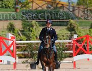 SBARDELLA TRIOMPHE CampITA2013- S5 9714 : Campionati Italiani 2013, Cattolica, Horse Riviera Resort, SBARDELLA DAVID, TRIOMPHE VAN SCHUTTERSHOF, foto di Stefano Secchi ©