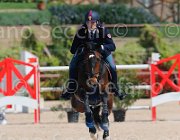 SBARDELLA TRIOMPHE CampITA2013- S5 9715 : Campionati Italiani 2013, Cattolica, Horse Riviera Resort, SBARDELLA DAVID, TRIOMPHE VAN SCHUTTERSHOF, foto di Stefano Secchi ©