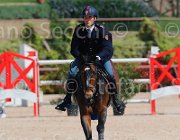 SBARDELLA TRIOMPHE CampITA2013- S5 9717 : Campionati Italiani 2013, Cattolica, Horse Riviera Resort, SBARDELLA DAVID, TRIOMPHE VAN SCHUTTERSHOF, foto di Stefano Secchi ©