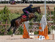 SBARDELLA TRIOMPHE CampITA2013- S5 9724 : Campionati Italiani 2013, Cattolica, Horse Riviera Resort, SBARDELLA DAVID, TRIOMPHE VAN SCHUTTERSHOF, foto di Stefano Secchi ©