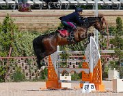 SBARDELLA TRIOMPHE CampITA2013- S5 9725 : Campionati Italiani 2013, Cattolica, Horse Riviera Resort, SBARDELLA DAVID, TRIOMPHE VAN SCHUTTERSHOF, foto di Stefano Secchi ©