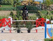 SCARANO PANDORA CampITA2013- S5 9049 : Campionati Italiani 2013, Cattolica, Horse Riviera Resort, PANDORA DEL CETONA, SCARANO MASSIMILIANO, foto di Stefano Secchi ©