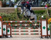 SESTINI ANEBHEL CampITA2013- S5 0312 : ANEBHEL, Campionati Italiani 2013, Cattolica, Horse Riviera Resort, SESTINI DANILO, foto di Stefano Secchi ©