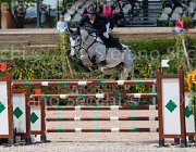 SESTINI ANEBHEL CampITA2013- S5 0313 : ANEBHEL, Campionati Italiani 2013, Cattolica, Horse Riviera Resort, SESTINI DANILO, foto di Stefano Secchi ©