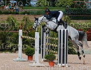 SESTINI ANEBHEL CampITA2013- S5 0315 : ANEBHEL, Campionati Italiani 2013, Cattolica, Horse Riviera Resort, SESTINI DANILO, foto di Stefano Secchi ©