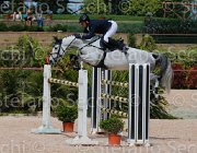 SESTINI ANEBHEL CampITA2013- S5 0316 : ANEBHEL, Campionati Italiani 2013, Cattolica, Horse Riviera Resort, SESTINI DANILO, foto di Stefano Secchi ©