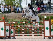 SOMMARIVA QANDALETTO CampITA2013- S5 0494 : Campionati Italiani 2013, Cattolica, Horse Riviera Resort, QANDALETO DU REVERDY, SOMMARIVA BENEDETTA, foto di Stefano Secchi ©