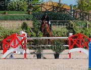 SORBELLO ZALERNO CampITA2013- S5 9307 : Campionati Italiani 2013, Cattolica, Horse Riviera Resort, SORBELLO SALVATORE, ZALERNO, foto di Stefano Secchi ©