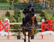 SORBELLO ZALERNO CampITA2013- S5 9312 : Campionati Italiani 2013, Cattolica, Horse Riviera Resort, SORBELLO SALVATORE, ZALERNO, foto di Stefano Secchi ©