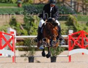 SORBELLO ZALERNO CampITA2013- S5 9313 : Campionati Italiani 2013, Cattolica, Horse Riviera Resort, SORBELLO SALVATORE, ZALERNO, foto di Stefano Secchi ©