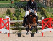 SORBELLO ZALERNO CampITA2013- S5 9314 : Campionati Italiani 2013, Cattolica, Horse Riviera Resort, SORBELLO SALVATORE, ZALERNO, foto di Stefano Secchi ©