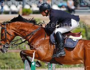 SORBELLO ZALERNO CampITA2013- S5 9317 : Campionati Italiani 2013, Cattolica, Horse Riviera Resort, SORBELLO SALVATORE, ZALERNO, foto di Stefano Secchi ©
