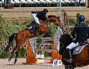 SORBELLO ZALERNO CampITA2013- S5 9318 : Campionati Italiani 2013, Cattolica, Horse Riviera Resort, SORBELLO SALVATORE, ZALERNO, foto di Stefano Secchi ©