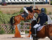 SORBELLO ZALERNO CampITA2013- S5 9319 : Campionati Italiani 2013, Cattolica, Horse Riviera Resort, SORBELLO SALVATORE, ZALERNO, foto di Stefano Secchi ©