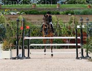 TESTI CARNIVALELLE CampITA2013- S5 1131 : CARNIVALELLE, Campionati Italiani 2013, Cattolica, Horse Riviera Resort, TESTI MARTINA, foto di Stefano Secchi ©