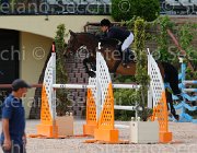 TESTI CARNIVALELLE CampITA2013- S5 1137 : CARNIVALELLE, Campionati Italiani 2013, Cattolica, Horse Riviera Resort, TESTI MARTINA, foto di Stefano Secchi ©