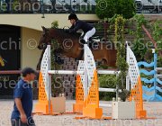 TESTI CARNIVALELLE CampITA2013- S5 1138 : CARNIVALELLE, Campionati Italiani 2013, Cattolica, Horse Riviera Resort, TESTI MARTINA, foto di Stefano Secchi ©