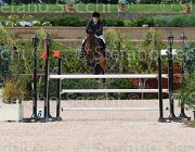 TESTI CARNIVALELLE ItaAss2013- S5 1133 : CARNIVALELLE, Campionati Italiani 2013, Cattolica, Horse Riviera Resort, TESTI MARTINA, foto di Stefano Secchi ©