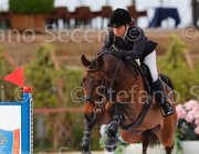 TESTI CARNIVALELLE ItaAss2013- S5 1136 : CARNIVALELLE, Campionati Italiani 2013, Cattolica, Horse Riviera Resort, TESTI MARTINA, foto di Stefano Secchi ©