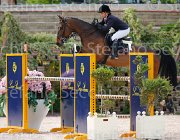 TESTI CARNIVALELLE ItaAss2013- S5 1139 : CARNIVALELLE, Campionati Italiani 2013, Cattolica, Horse Riviera Resort, TESTI MARTINA, foto di Stefano Secchi ©