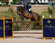 TURTURIELLO BOSTON CampITA2013- S5 8899 : BOSTON, Campionati Italiani 2013, Cattolica, Horse Riviera Resort, TURTURIELLO FRANCESCO, foto di Stefano Secchi ©