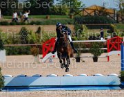 TURTURIELLO BOSTON ItaAss2013- S5 8894 : BOSTON, Campionati Italiani 2013, Cattolica, Horse Riviera Resort, TURTURIELLO FRANCESCO, foto di Stefano Secchi ©