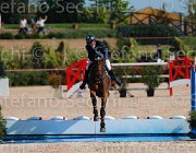 TURTURIELLO BOSTON ItaAss2013- S5 8895 : BOSTON, Campionati Italiani 2013, Cattolica, Horse Riviera Resort, TURTURIELLO FRANCESCO, foto di Stefano Secchi ©
