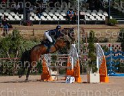 TURTURIELLO BOSTON ItaAss2013- S5 8896 : BOSTON, Campionati Italiani 2013, Cattolica, Horse Riviera Resort, TURTURIELLO FRANCESCO, foto di Stefano Secchi ©