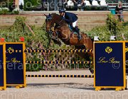 TURTURIELLO BOSTON ItaAss2013- S5 8898 : BOSTON, Campionati Italiani 2013, Cattolica, Horse Riviera Resort, TURTURIELLO FRANCESCO, foto di Stefano Secchi ©