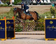 TURTURIELLO BOSTON ItaAss2013- S5 8900 : BOSTON, Campionati Italiani 2013, Cattolica, Horse Riviera Resort, TURTURIELLO FRANCESCO, foto di Stefano Secchi ©