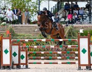 VILLOTTI PIERROT CampITA2013- S5 0508 : Campionati Italiani 2013, Cattolica, Horse Riviera Resort, PIERROT R, VILLOTTI FRANCESCO, foto di Stefano Secchi ©