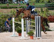 VITTADINI PRINCE CampITA2013- S5 0798 : Campionati Italiani 2013, Cattolica, Horse Riviera Resort, PRINCE DU COUREAU, VITTADINI CAMILLA, foto di Stefano Secchi ©