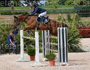 VITTADINI PRINCE CampITA2013- S5 0799 : Campionati Italiani 2013, Cattolica, Horse Riviera Resort, PRINCE DU COUREAU, VITTADINI CAMILLA, foto di Stefano Secchi ©