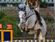VIZZINI ROMIE ItaAss2013- S5 1286 : Campionati Italiani 2013, Cattolica, Horse Riviera Resort, ROMIE, VIZZINI LUCIA, foto di Stefano Secchi ©