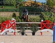 ZAMANA QUICKLY CampITA2013- S5 9253 : Campionati Italiani 2013, Cattolica, Horse Riviera Resort, QUICKLY DELLE ROANE, ZAMANA MATTEO, foto di Stefano Secchi ©