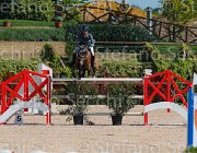 ZAMANA QUICKLY CampITA2013- S5 9254 : Campionati Italiani 2013, Cattolica, Horse Riviera Resort, QUICKLY DELLE ROANE, ZAMANA MATTEO, foto di Stefano Secchi ©