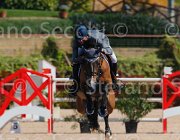 ZAMANA QUICKLY CampITA2013- S5 9260 : Campionati Italiani 2013, Cattolica, Horse Riviera Resort, QUICKLY DELLE ROANE, ZAMANA MATTEO, foto di Stefano Secchi ©