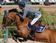 ZAMANA QUICKLY CampITA2013- S5 9265 : Campionati Italiani 2013, Cattolica, Horse Riviera Resort, QUICKLY DELLE ROANE, ZAMANA MATTEO, foto di Stefano Secchi ©