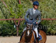 ZAMANA QUICKLY CampITA2013- S5 9274 : Campionati Italiani 2013, Cattolica, Horse Riviera Resort, QUICKLY DELLE ROANE, ZAMANA MATTEO, foto di Stefano Secchi ©