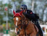 ZORZETTO FRANFRELUCHE CampITA2013- S5 1202 : Campionati Italiani 2013, Cattolica, FRANFRELUCHE DE BARISY, Horse Riviera Resort, ZORZETTO ELEONORA, foto di Stefano Secchi ©