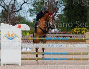 ZORZETTO FRANFRELUCHE ItaAss2013- S5 1199 : Campionati Italiani 2013, Cattolica, FRANFRELUCHE DE BARISY, Horse Riviera Resort, ZORZETTO ELEONORA, foto di Stefano Secchi ©