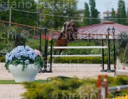 ZORZI HISPANICO CampITA2013- S5 1399 : Campionati Italiani 2013, Cattolica, HISPANICO, Horse Riviera Resort, ZORZI ALBERTO, foto di Stefano Secchi ©