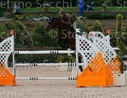 ZORZI HISPANICO CampITA2013- S5 1403 : Campionati Italiani 2013, Cattolica, HISPANICO, Horse Riviera Resort, ZORZI ALBERTO, foto di Stefano Secchi ©